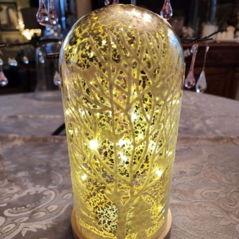 MERCURY GLASS ILLUMINATED DOME. WORKS ON BATTERIES, WITH TIMER